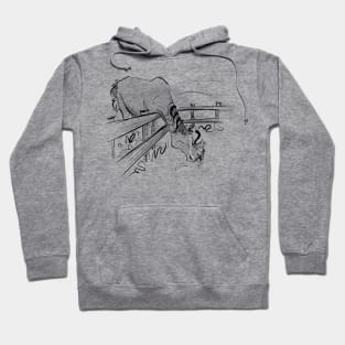 Kitty giving a horse a hug Hoodie